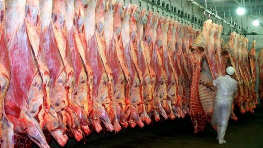 Desafíos y oportunidades para la producción de carnes en 2024