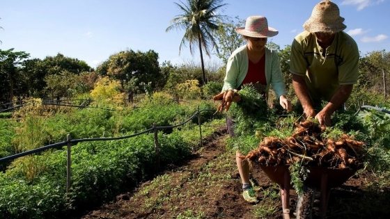 <Avanza a buen ritmo la implementación del Programa de Agricultura Familiar en la Meseta