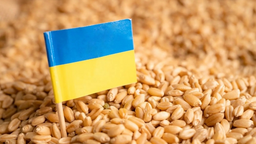 EE. UU. ayudará a Ucrania con las exportaciones tras la retirada de Rusia del acuerdo de cereales
