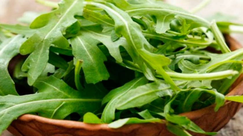 Cultivar rúcula en casa