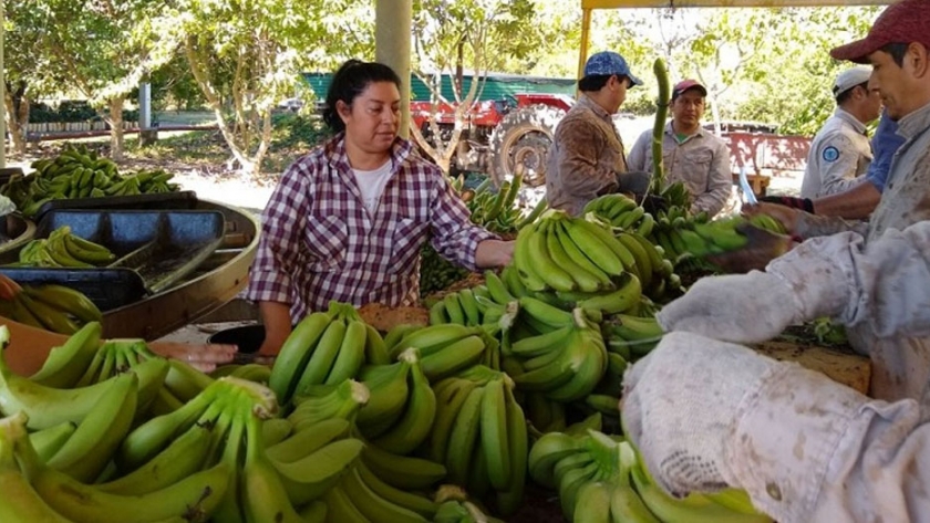 Plan Nutrir "logró reivindicar la mesa familiar, el deseo del gobernador Insfrán"