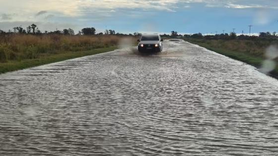El abandono de los caminos rurales de Guaminí afecta a productores y escuelas: una situación insostenible