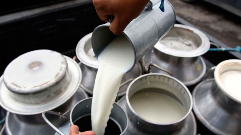 El gobierno entrerriano otorga créditos al sector lechero