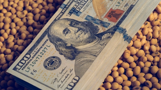 AFIP: La ampliación del dólar soja apuntaló la recaudación en octubre