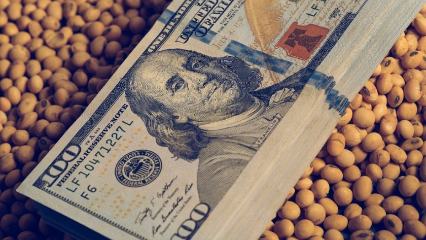 AFIP: La ampliación del dólar soja apuntaló la recaudación en octubre