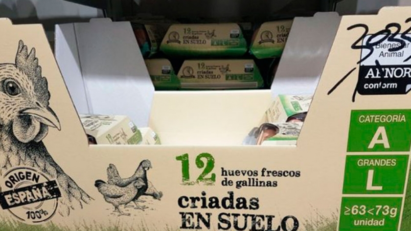 ¿Comprar huevos ecológicos es sinónimo de comprar huevos de gallinas ponedoras saludables?