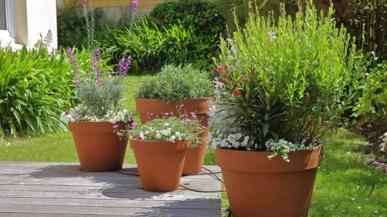 Seminario de jardinería en General Alvear: macetas y cuencos con materiales naturales
