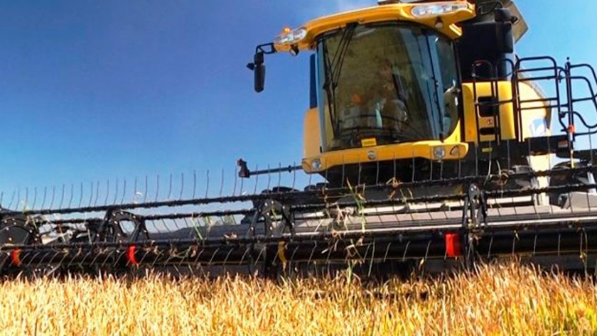 Cosecha gruesa en Entre Ríos, avance en arroz y soja