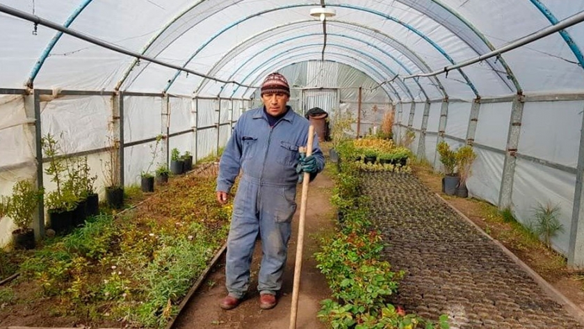 Variada producción de árboles y plantas se producen en el Vivero Municipal  | Agroempresario.com