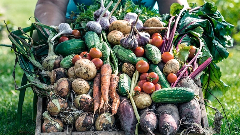 Todos comen, un mercado virtual de alimentos de la agricultura familiar, donde el productor se queda con 80% del valor final de venta