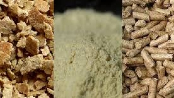 Expeller argentino: la base natural que impulsa la producción de alimentos de calidad