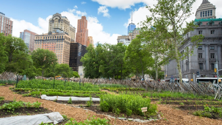 15 Granjas y jardines urbanos que brindan educación sobre productos frescos y alimentos a los neoyorquinos