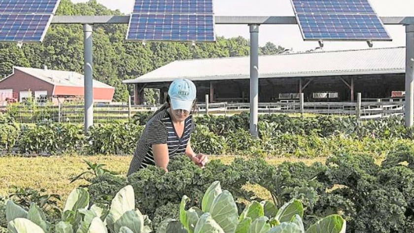 Agricultura y energía solar