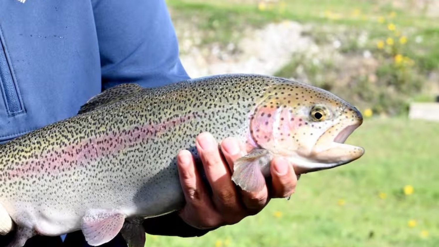 Tierra del Fuego redefine su política acuícola y habilita proyectos con foco en sustentabilidad
