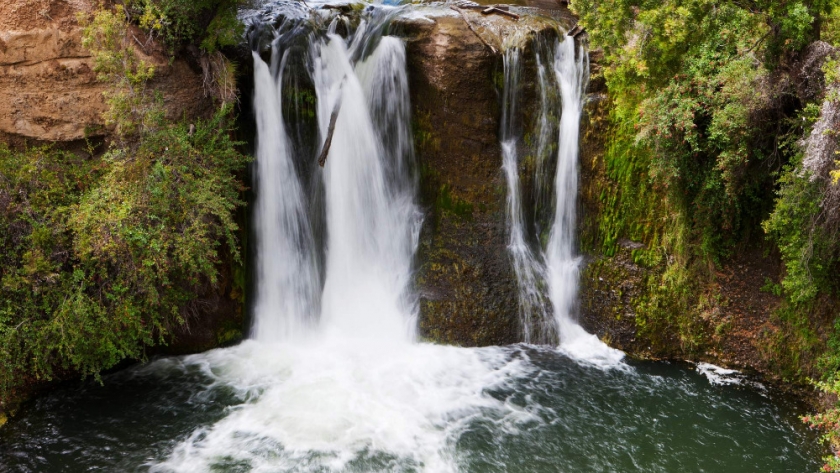 Cascadas y tulipanes: un viaje por la belleza natural de Trevelin