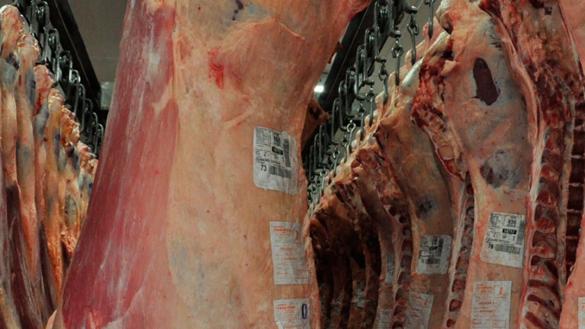 Se viene un año de reducciones arancelarias en el mercado internacional de carne bovina
