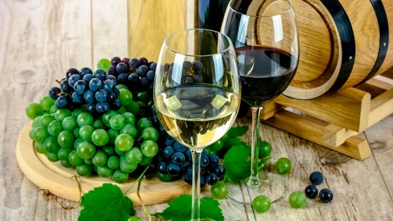 El vino: una bebida ancestral que ha acompañado al hombre desde el comienzo de sus días