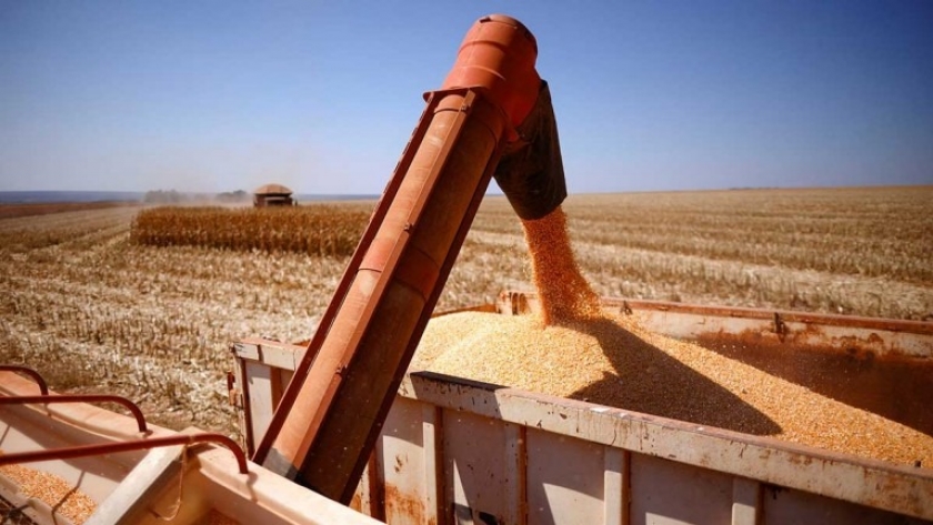 Brasil en la encrucijada: Sequía amenaza su posición como mayor exportador de maíz del mundo