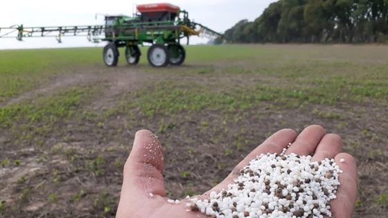 El impacto de la reducción del Impuesto PAIS y cómo afecta a la agroindustria