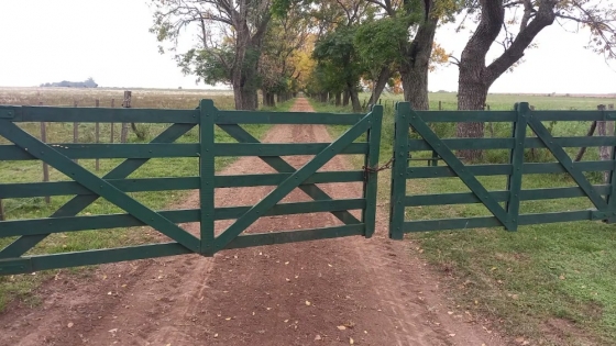 Entre Ríos actualizó el inmobiliario rural: 99% de las partidas subieron por debajo de la inflación
