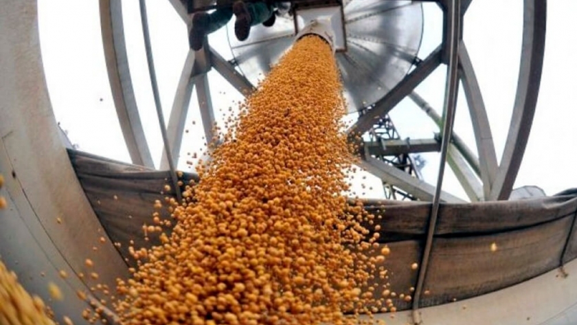 Importaciones: la soja paraguaya fue clave para sostener a la principal industria generadora de dólares
