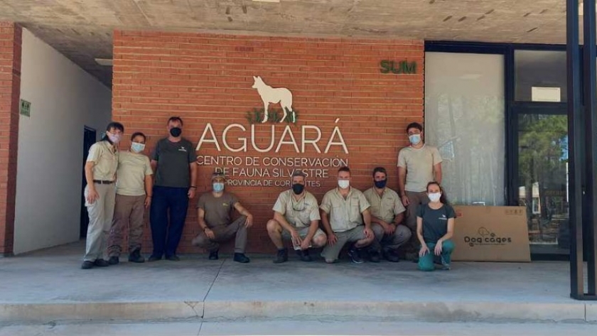 Más profesionales suman esfuerzos en el proceso de recuperación de fauna en el Centro Aguará