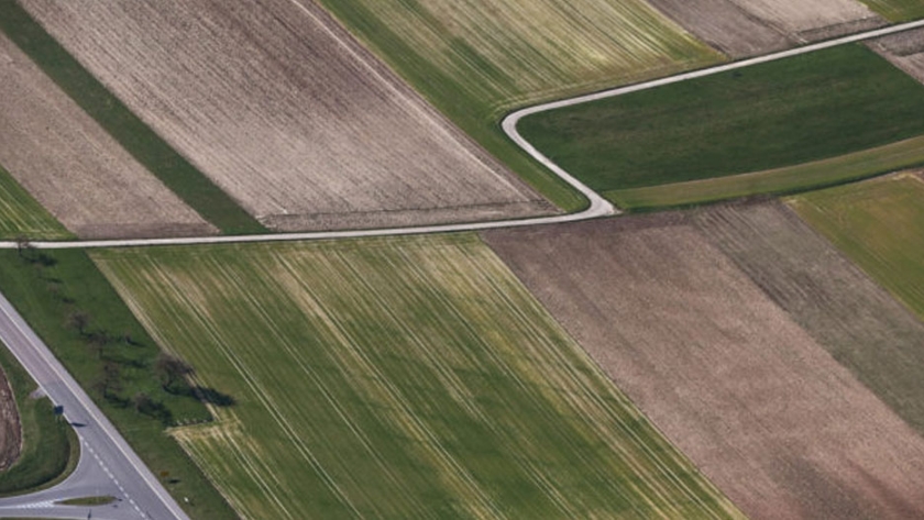 La naturaleza sufre en regiones agrícolas de Alemania