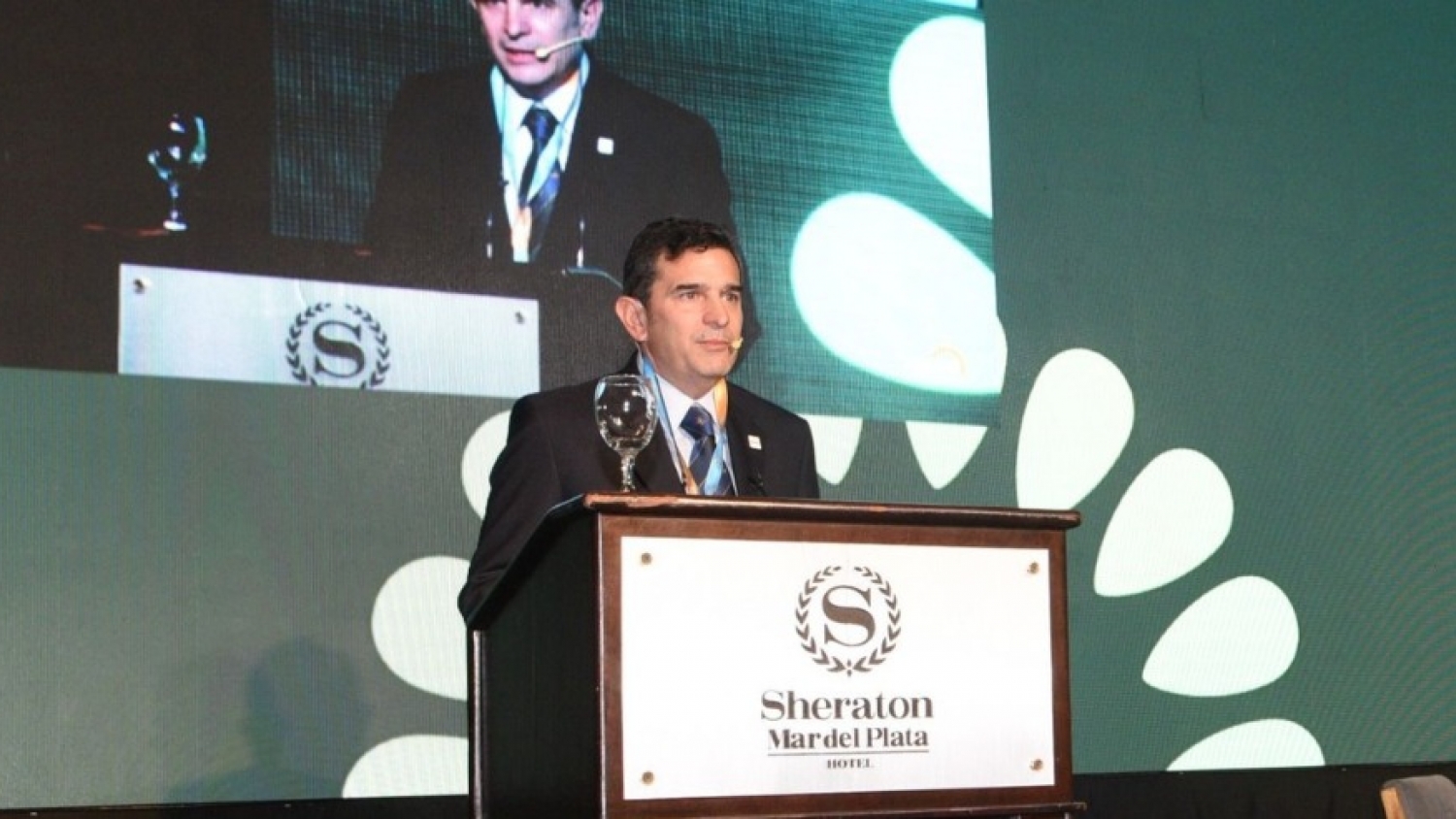 El girasol gana peso en la economía argentina y ya se ubica entre los complejos que más divisas aportan