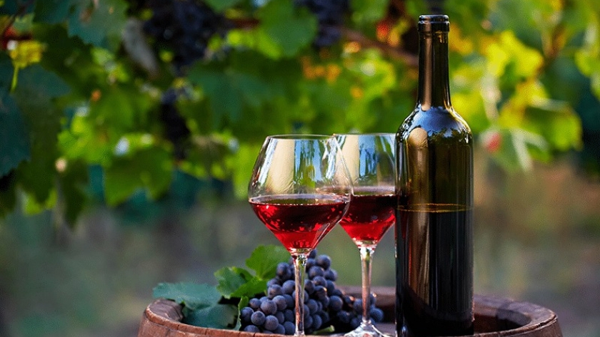 Por décimo año consecutivo, se lanzó el Programa de Posicionamiento del Vino de Altura Salteño
