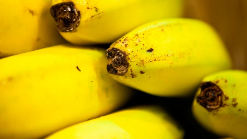 Los productores de banana deben inscribirse obligatoriamente en el Renspa