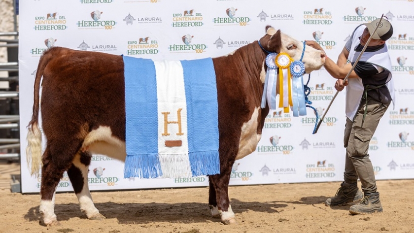 Hereford coronó sus 100 años con los mejores ejemplares desfilando por Palermo y la presencia de Milei