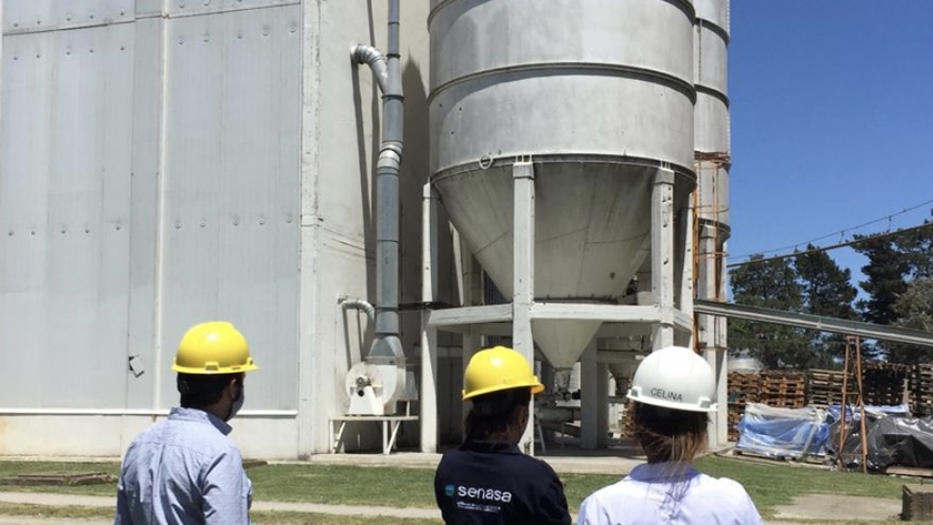 Fiscalización a la primera producción de harina de trigo orgánica refinada del país