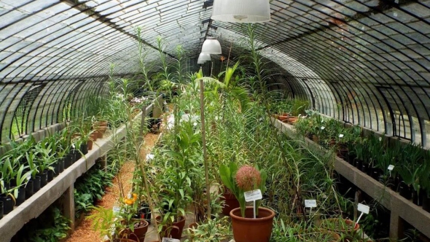Invernaderos: Una solución sostenible para la agricultura urbana