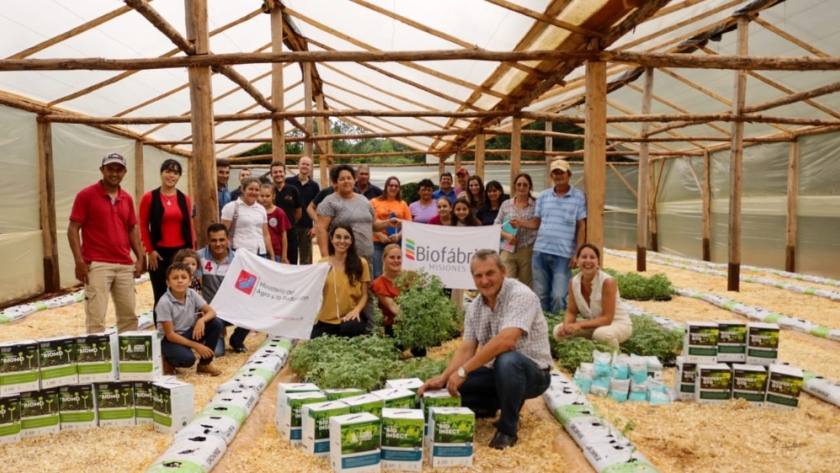 Agro: innovación tecnológica para ampliar la producción de tomate a escala