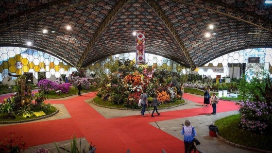 Fiesta de la Orquídea en Montecarlo: la floricultura y el turismo se preparan para una nueva edición