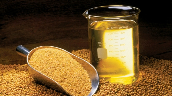 El aceite de soja de EE.UU. se consolida como commodity energético en 2025/26