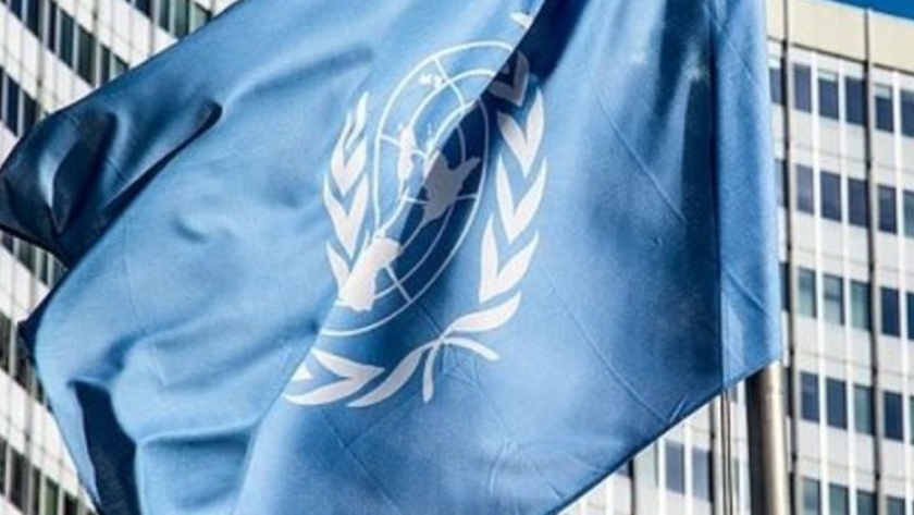 La Argentina integrará el Consejo Económico y Social de la ONU