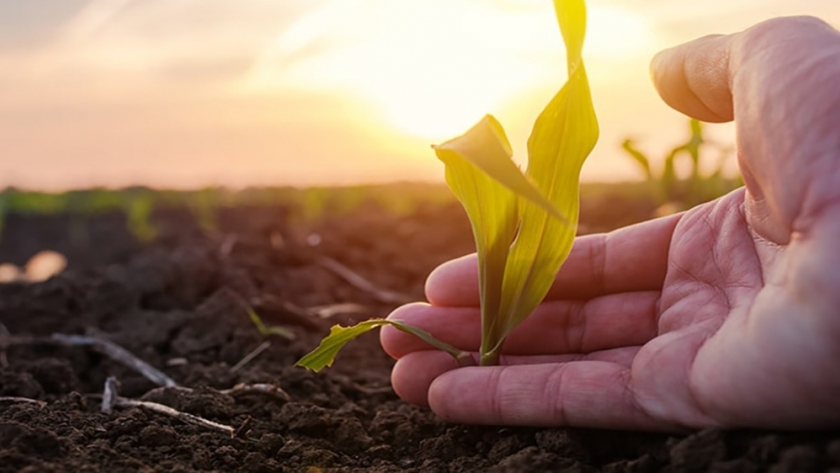 Productores argentinos obtienen un 6 sobre 10 en sustentabilidad