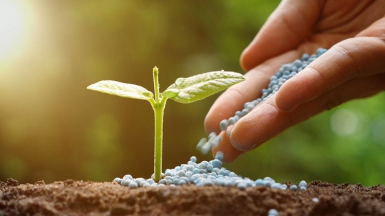 Fertilizer Latino Americano 2024: El encuentro cumbre para el mercado de fertilizantes en América Latina