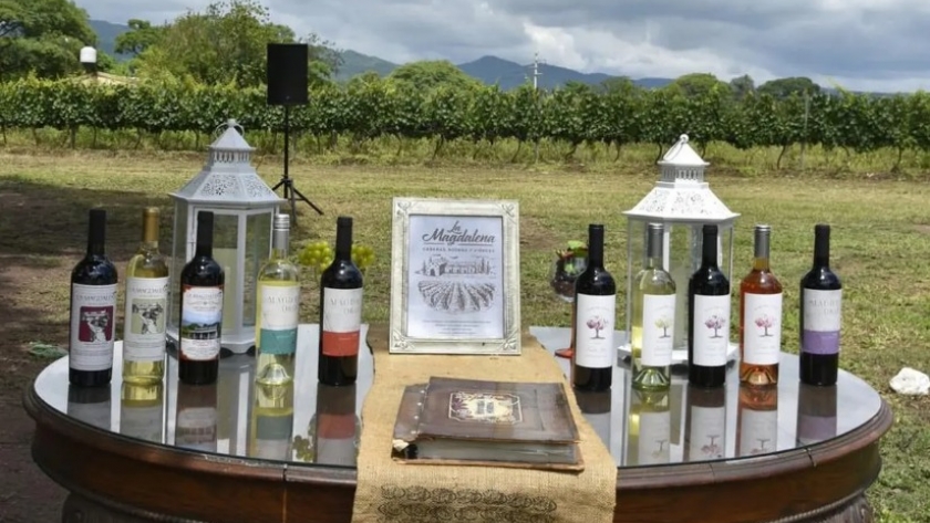 Celebración de la V Vendimia en Bodega La Magdalena