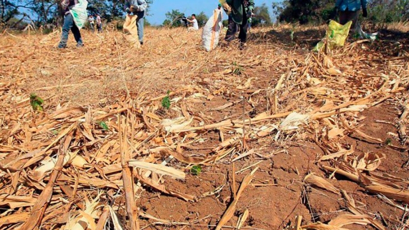 Los campos de Buenos Aires en alerta