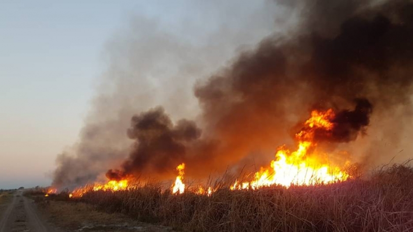 Un incendio en Santa Fe arrasó con 1.000 hectáreas