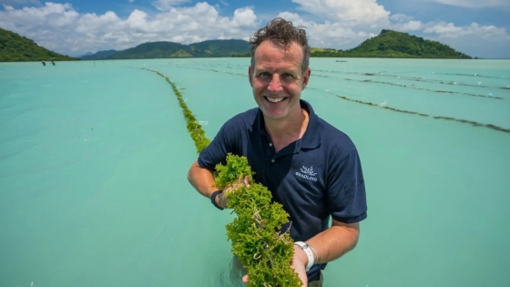 SEADLING: how seaweed biotech boosts farmers’ income
