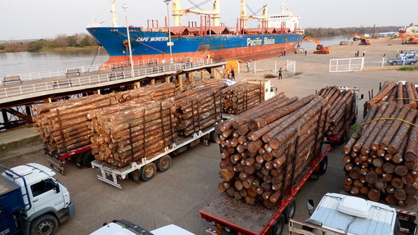 China redujo aranceles de importación a 134 productos agroindustriales argentinos