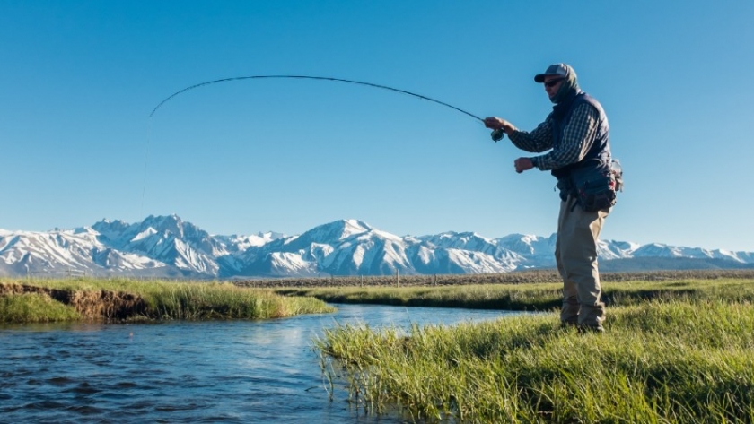 Explorando los tesoros acuáticos: La pesca en nuestros ríos