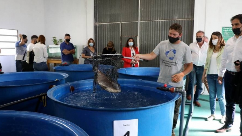 Fortalecimiento del sector acuícola: campaña de producción y entrega a productores