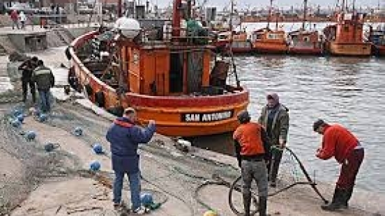Se descargaron cerca de 800.000 toneladas de pescados y mariscos. Mar del Plata, otra vez en la cumbre