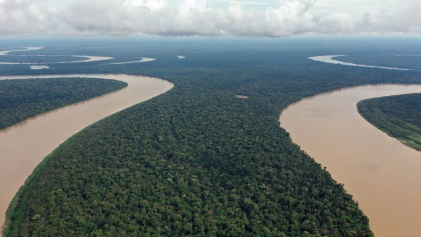 Los cinco países de América Latina que perdieron la mayor cantidad de bosques primarios en 2019