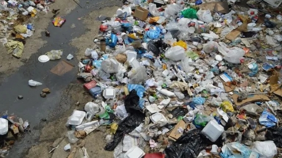 En el Día Internacional Libre de Bolsas Plásticas: Plásticos y Microplásticos en el Mar