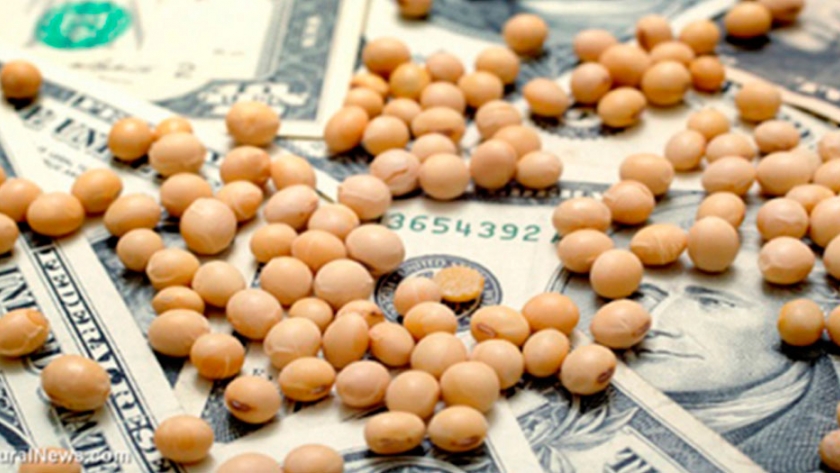 Necesitás vender mucha soja para comprar un poco de oro, ¿qué nos dice la economía?